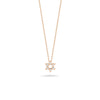 The TINY TREASURES DIAMOND STAR OF DAVID NECKLACE by Roberto Coin features a delicate 18K gold chain with a diamond-embellished six-pointed Star of David pendant, shown on a white background.
